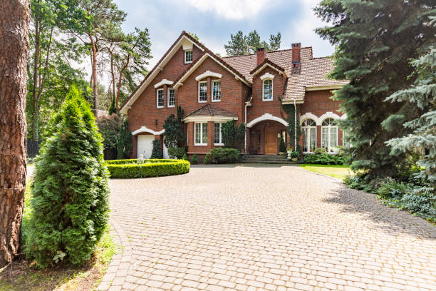 Best Local Driveway Pavers  in Pine Ridge, SC