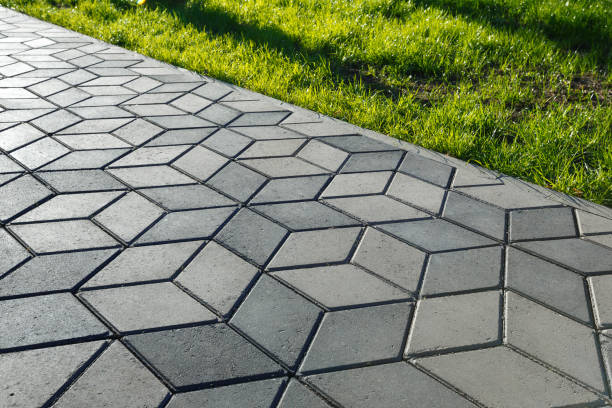 Best Residential Paver Driveway  in Pine Ridge, SC
