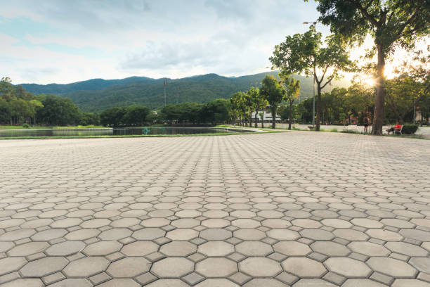 Best Concrete Paver Driveway  in Pine Ridge, SC